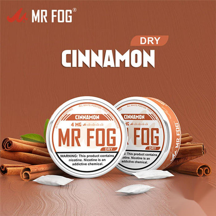 Dry Cinnamon – Mr Fog Nicotine Pouches