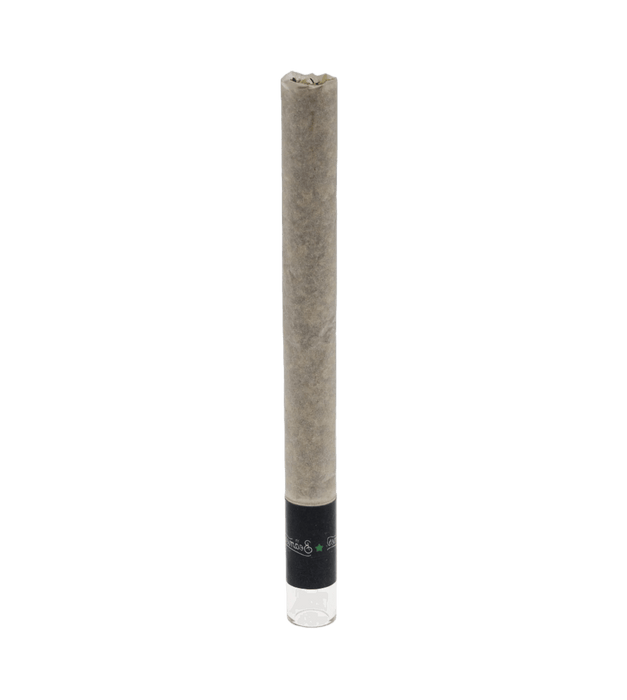 Beamer King Size Glass-Tipped Organic Pre-Rolled Cones - 3Ct Packs