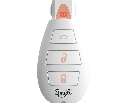 Smyle Penjamin Discreet Car Key Cartridge VV 510