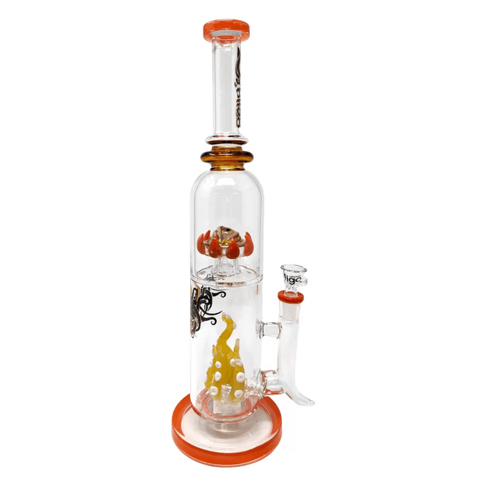 15.5" BIIGO Glass Duo CreepGaze & TentaFun Perc Water Pipe