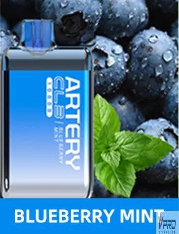 Artery CL3 5% 10000 Puffs Disposable Artery Vapor