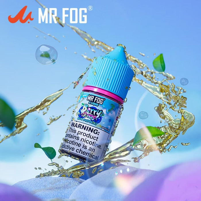 Berry (Blue Raspberry) - Mr Fog Steezy Salt 30mL