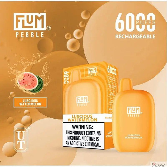 Flum Pebble 6000 Puff 5% Nicotine Disposable FLUM