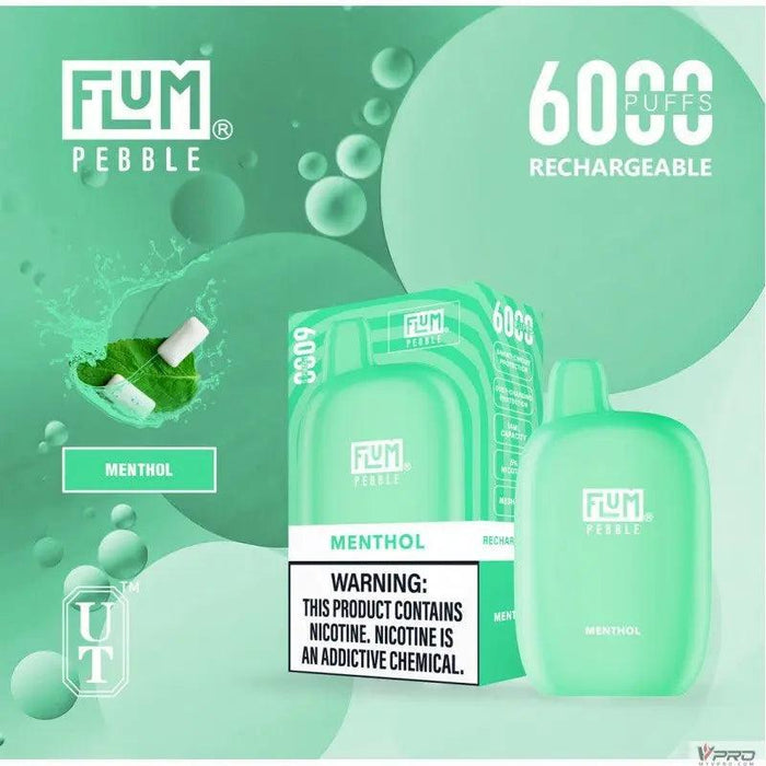 Flum Pebble 6000 Puff 5% Nicotine Disposable FLUM