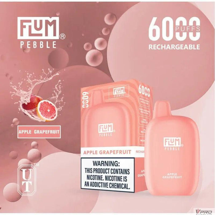 Flum Pebble 6000 Puff 5% Nicotine Disposable FLUM