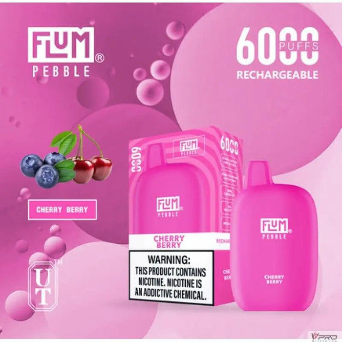 Flum Pebble 6000 Puff 5% Nicotine Disposable FLUM