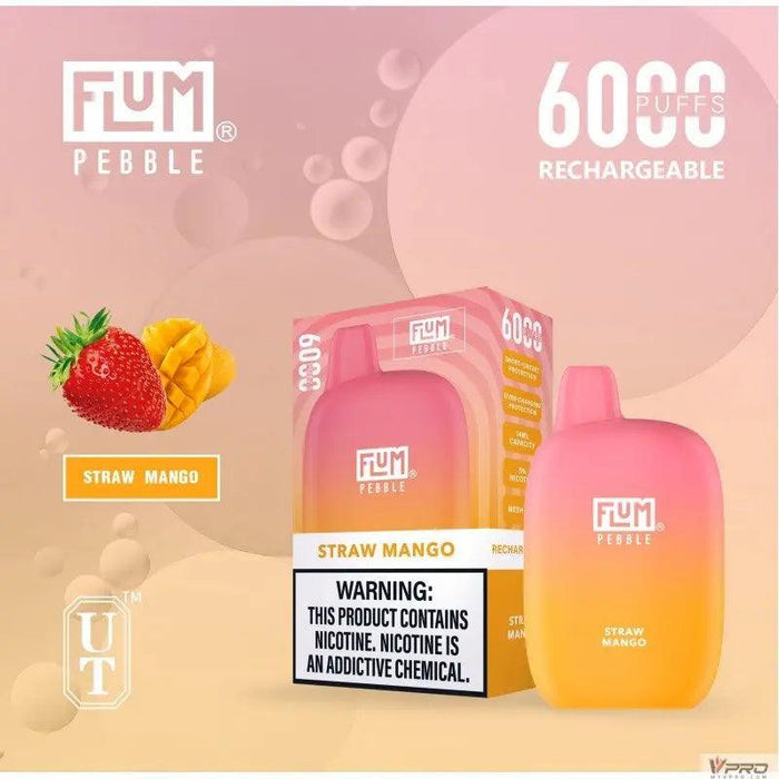 Flum Pebble 6000 Puff 5% Nicotine Disposable FLUM