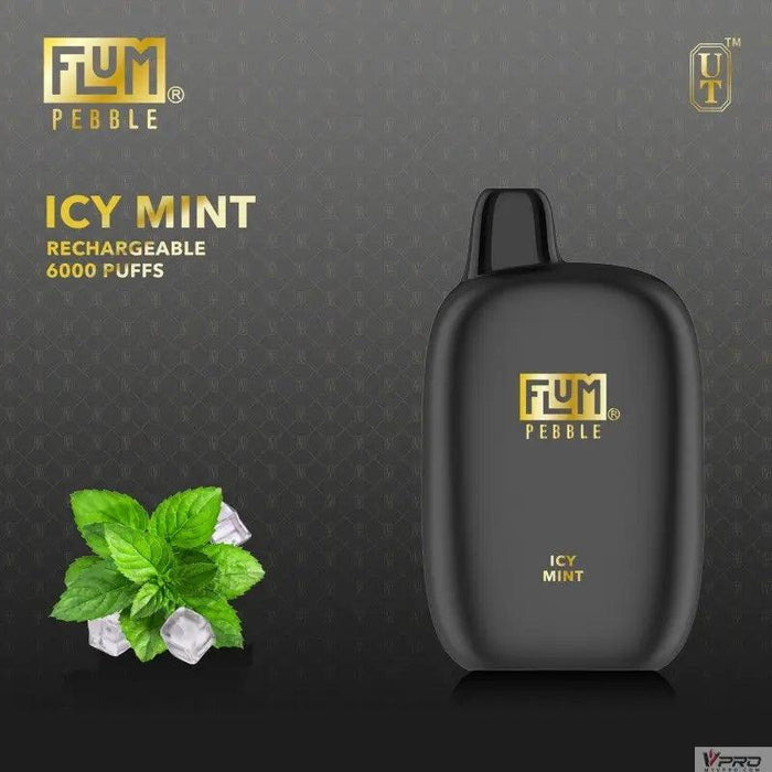 Flum Pebble 6000 Puff 5% Nicotine Disposable FLUM