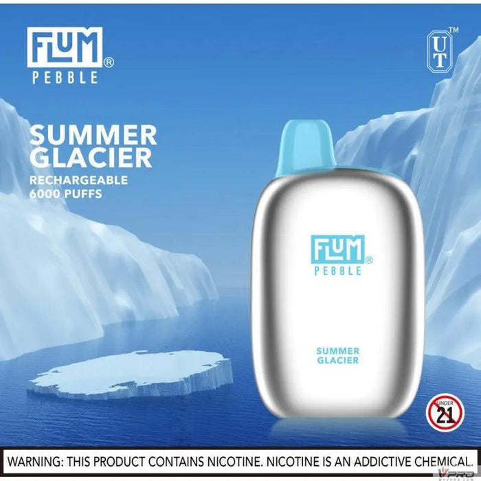 Flum Pebble 6000 Puff 5% Nicotine Disposable FLUM