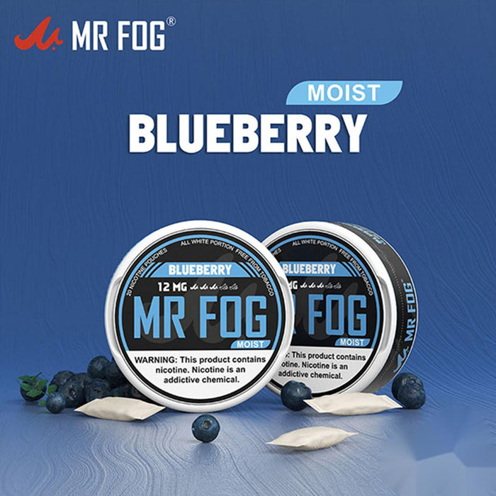 Moist Blueberry – Mr Fog Nicotine Pouches