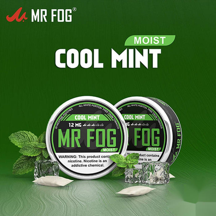 Moist Cool Mint – Mr Fog Nicotine Pouches