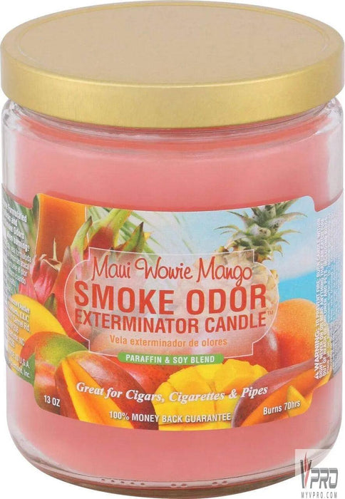 Smoke Odor Exterminator Candle 13oz Smoke Odor Exterminator